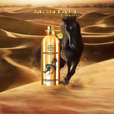 Arabians Montale 1.1