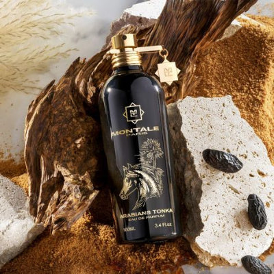 Arabians Tonka Montale 1.1